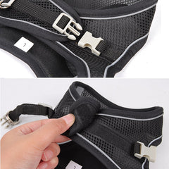 Harness Leash Set for Small Dogs